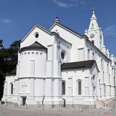 באד ווסלאו Villa Pazelt Top2 מראה חיצוני תמונה