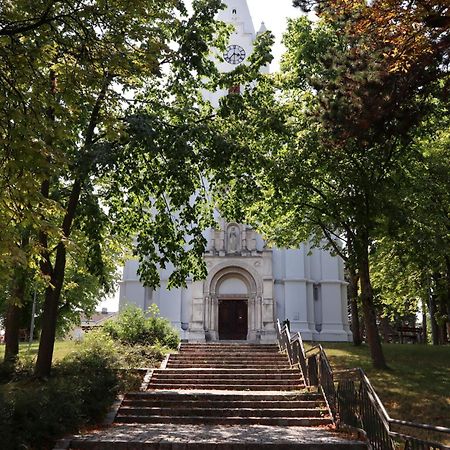 באד ווסלאו Villa Pazelt Top2 מראה חיצוני תמונה
