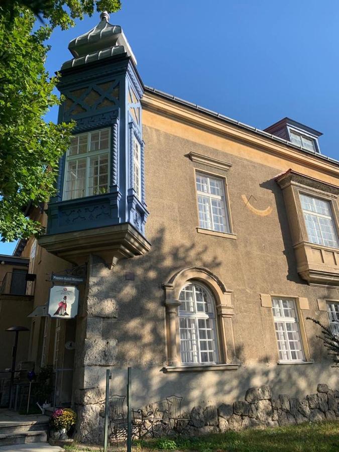 באד ווסלאו Villa Pazelt Top2 מראה חיצוני תמונה